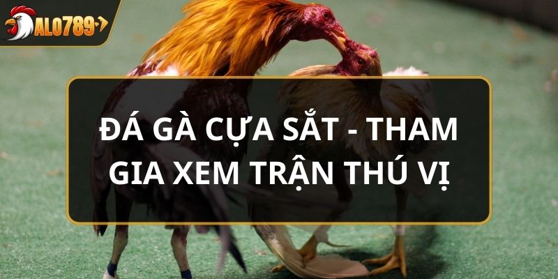 Đá gà cựa sắt