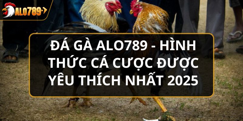 Đá gà ALO789