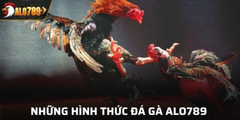Những hình thức đá gà ALO789 đang được quan tâm nhất