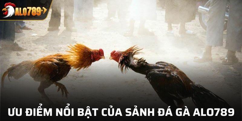 Ưu điểm nổi bật của sảnh đá gà tại ALO789