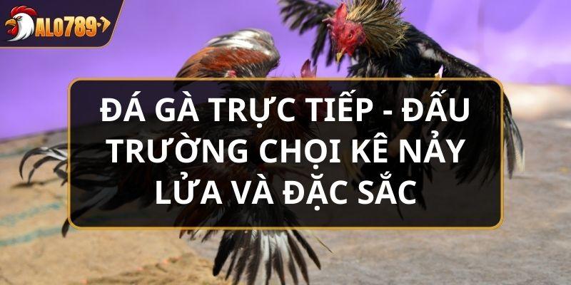 Đá gà trực tiếp
