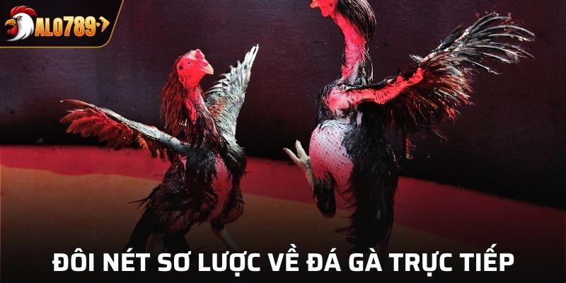 Đôi nét sơ lược về loại hình đá gà trực tiếp Alo789