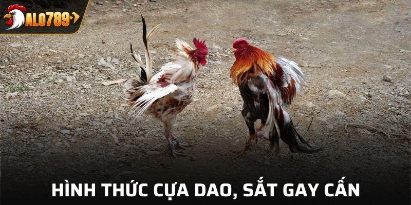 Hình thức cựa dao, sắt gay cấn