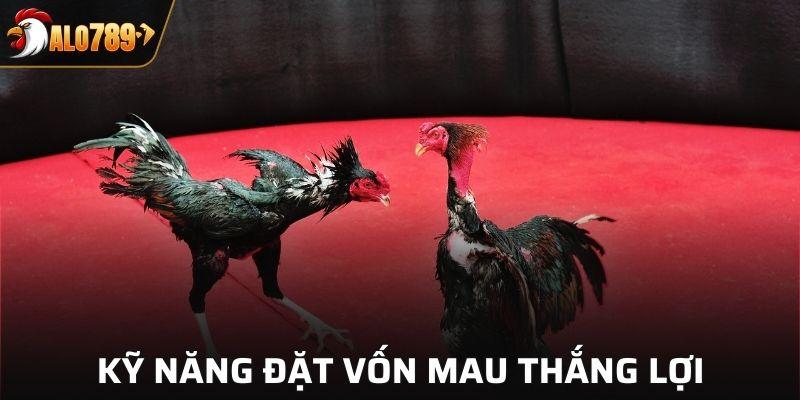 Kỹ năng đặt vốn mau thắng lợi