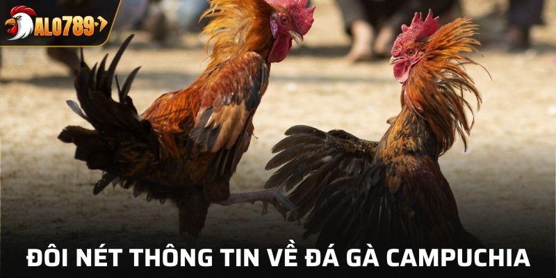 Giới thiệu về đá gà Campuchia