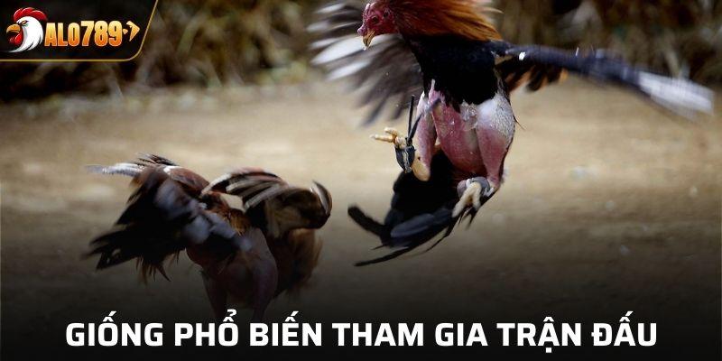 Các giống thường có trong trận