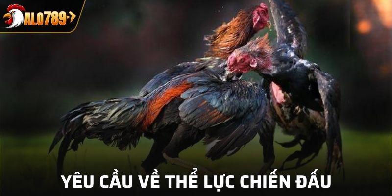 Đảm bảo thể lực, nâng cao khả năng thắng