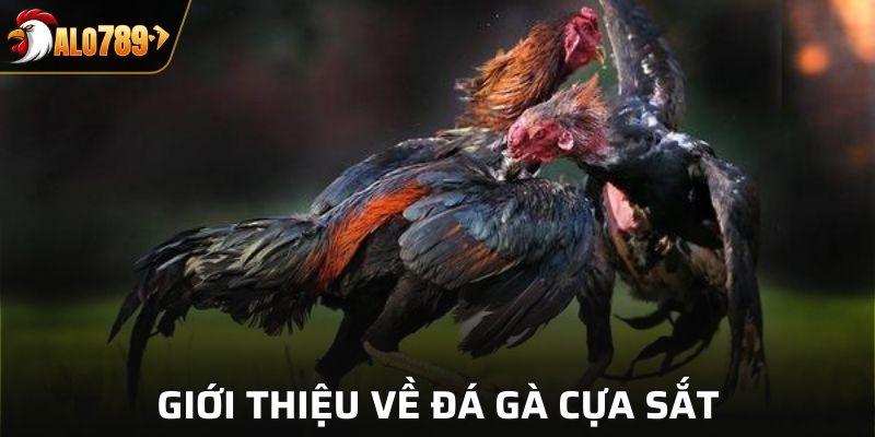 Đôi nét về đá gà cựa sắt