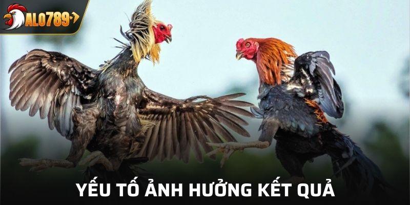 Các yếu tố ảnh hưởng kết quả