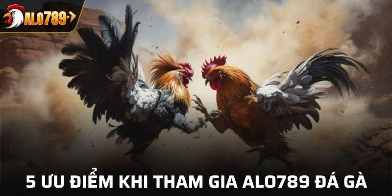 5 Ưu điểm khi tham gia Alo789 đá gà