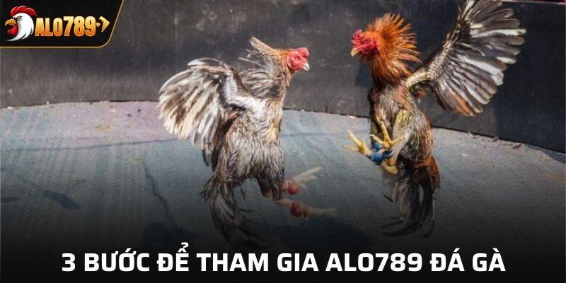 3 Bước để tham gia Alo789 đá gà