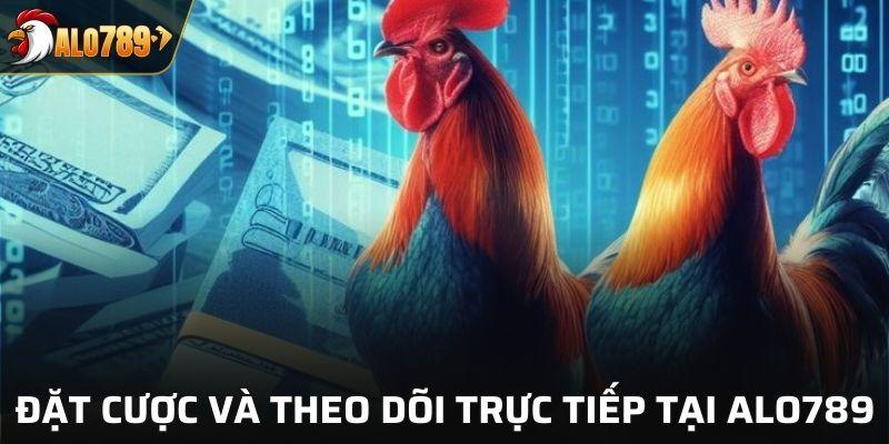 Đặt cược và theo dõi trực tiếp tại Alo789
