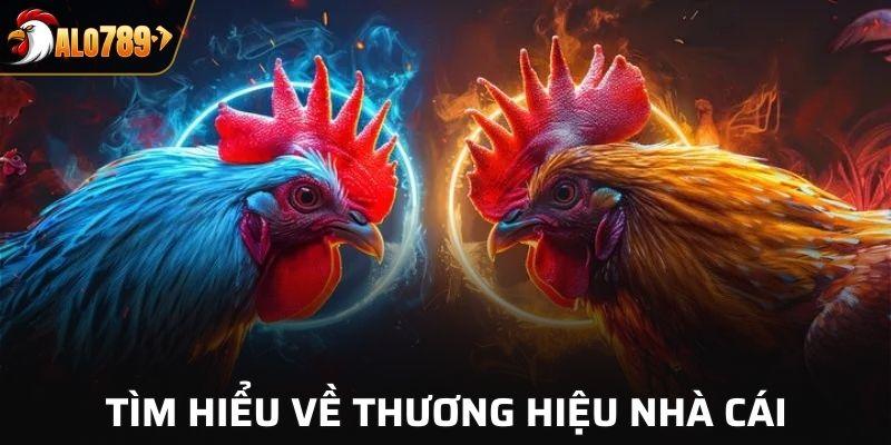 Tìm hiểu về thương hiệu nhà cái số 1 khu vực ALO789
