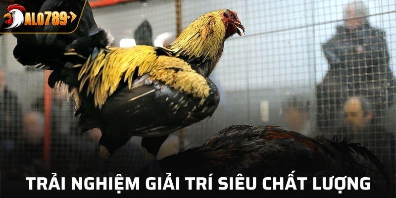 ALO789 mang đến trải nghiệm giải trí siêu chất lượng