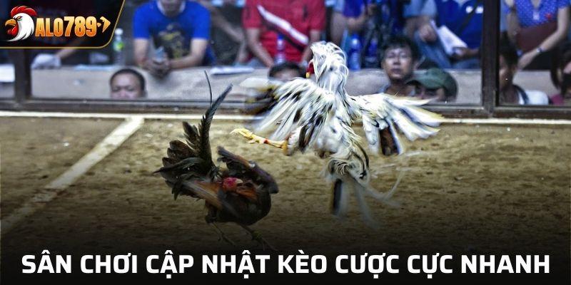 Sân chơi cập nhật kèo cược, thông tin cực nhanh chóng