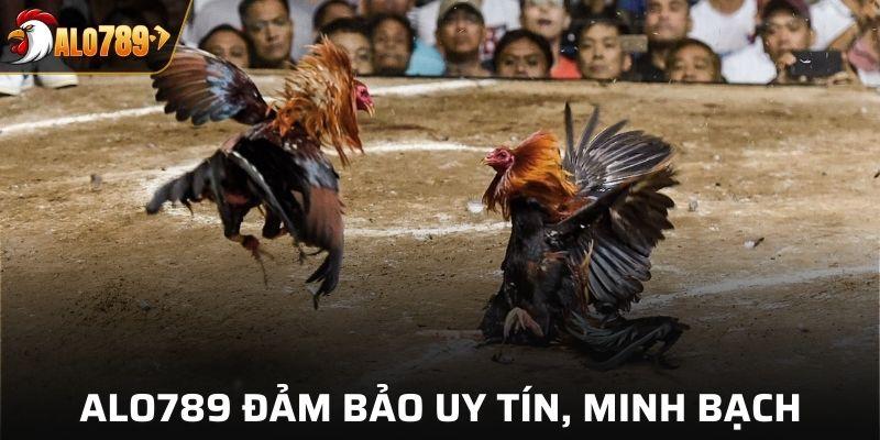 ALO789 đảm bảo uy tín, minh bạch và rõ ràng về chứng nhận