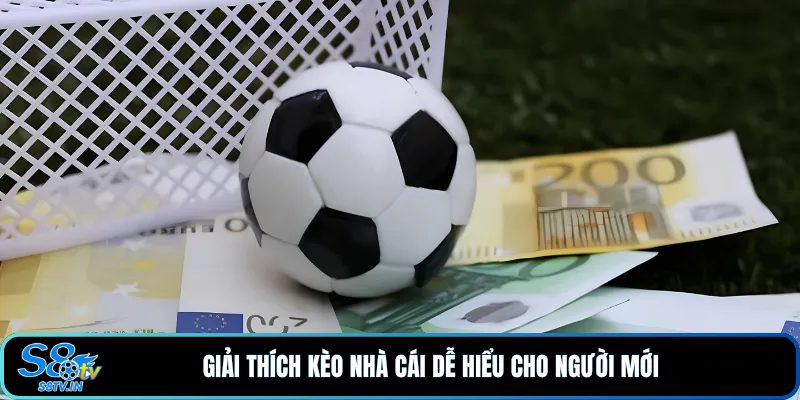 Giải thích kèo nhà cái dễ hiểu cho người mới 