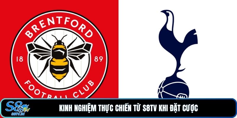 Kinh nghiệm thực chiến từ S8TV khi đặt cược 