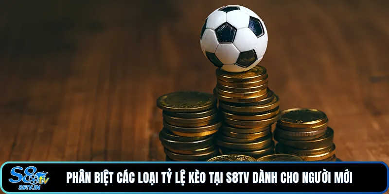 Phân biệt các loại tỷ lệ kèo tại S8TV dành cho người mới 