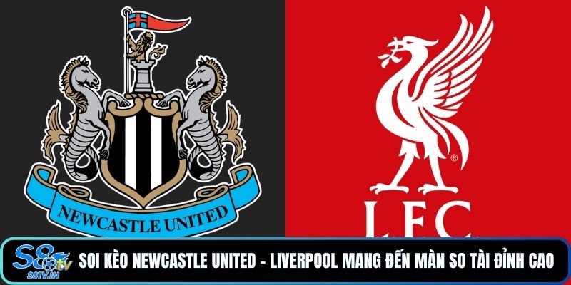 Soi kèo Newcastle United - Liverpool mang đến màn so tài đỉnh cao